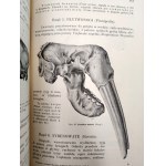 Nasbaum J. - Zoologia z 229 rycinami i 4 tablicami barwnymi, Lwów 1912