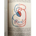 Nasbaum J. - Zoologia z 229 rycinami i 4 tablicami barwnymi, Lwów 1912