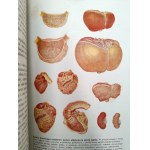 Nasbaum J. - Zoologia z 229 rycinami i 4 tablicami barwnymi, Lwów 1912