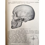 Nasbaum J. - Zoologia z 229 rycinami i 4 tablicami barwnymi, Lwów 1912