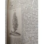 Schoedler Fryderyk - Botanika, przekład Bordau, wydanie drugie, z drzeworytami, Warszawa 1874 [ rolnictwo ]