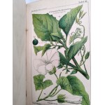 Dr. Wilhelm Medicus - Flora Niemiec - Ilustrowany atlas roślin, opisy roślin i instrukcje tworzenia zielników, Kaiserslautern ca. 1893 [ zioła, ziołolecznictwo]