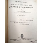 Rauber - Kops - Podręcznik i Atlas Anatomii Człowieka w trzech tomach, Lipsk 1940