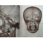 Rauber - Kops - Podręcznik i Atlas Anatomii Człowieka w trzech tomach, Lipsk 1940