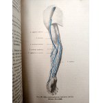 Dr. Adam Bochenek- Anatomia Człowieka - podręcznik - Tom I-III, Kraków 1924