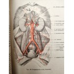Dr. Adam Bochenek- Anatomia Człowieka - podręcznik - Tom I-III, Kraków 1924