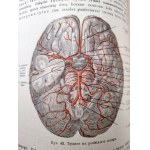Dr. Adam Bochenek- Anatomia Człowieka - podręcznik - Tom I-III, Kraków 1924
