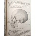 Dr. Adam Bochenek- Anatomia Człowieka - podręcznik - Tom I-III, Kraków 1924