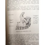 Dr. Adam Bochenek- Anatomia Człowieka - podręcznik - Tom I-III, Kraków 1924