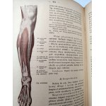 Dr. Adam Bochenek- Anatomia Człowieka - podręcznik - Tom I-III, Kraków 1924