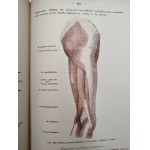 Dr. Adam Bochenek- Anatomia Człowieka - podręcznik - Tom I-III, Kraków 1924
