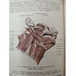 Dr. Adam Bochenek- Anatomia Człowieka - podręcznik - Tom I-III, Kraków 1924