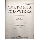 Dr. Adam Bochenek- Anatomia Człowieka - podręcznik - Tom I-III, Kraków 1924