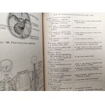 Dr. Adam Bochenek- Anatomia Człowieka - podręcznik - Tom I-III, Kraków 1924