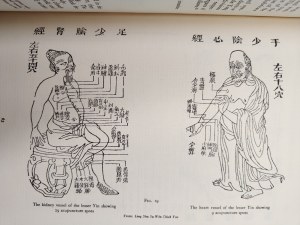 [Chinese medicine] - The Yellow Emperor's Canon of Medicine - Huang Ti Nei Ching Su Wen - Baltimore 1949 [ first edition, medicine].
