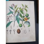 KSIĘGA ŚWIATA - WIADOMOŚCI Z DZIEDZINY NAUK PRZYRODNICZYCH, STORYI KRAJÓW I LUDÓW,[...]PODRÓŻE, OPISY CIEKAWYCH MIEJSCOWOŚCI. WÓD SŁYNNIEJSZYCH [...] WARSZAWA 1852 część pierwsza i druga.