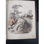 KSIĘGA ŚWIATA - WIADOMOŚCI Z DZIEDZINY NAUK PRZYRODNICZYCH, STORYI KRAJÓW I LUDÓW,[...]PODRÓŻE, OPISY CIEKAWYCH MIEJSCOWOŚCI. WÓD SŁYNNIEJSZYCH [...] WARSZAWA 1852 część pierwsza i druga.