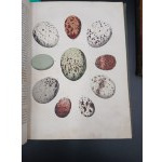 KSIĘGA ŚWIATA - WIADOMOŚCI Z DZIEDZINY NAUK PRZYRODNICZYCH, STORYI KRAJÓW I LUDÓW,[...]PODRÓŻE, OPISY CIEKAWYCH MIEJSCOWOŚCI. WÓD SŁYNNIEJSZYCH [...] WARSZAWA 1852 część pierwsza i druga.