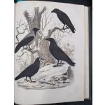 KSIĘGA ŚWIATA - WIADOMOŚCI Z DZIEDZINY NAUK PRZYRODNICZYCH, STORYI KRAJÓW I LUDÓW,[...]PODRÓŻE, OPISY CIEKAWYCH MIEJSCOWOŚCI. WÓD SŁYNNIEJSZYCH [...] WARSZAWA 1852 część pierwsza i druga.