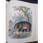KSIĘGA ŚWIATA - WIADOMOŚCI Z DZIEDZINY NAUK PRZYRODNICZYCH, STORYI KRAJÓW I LUDÓW,[...]PODRÓŻE, OPISY CIEKAWYCH MIEJSCOWOŚCI. WÓD SŁYNNIEJSZYCH [...] WARSZAWA 1852 część pierwsza i druga.