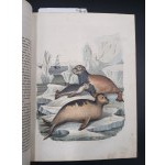 KSIĘGA ŚWIATA - WIADOMOŚCI Z DZIEDZINY NAUK PRZYRODNICZYCH, STORYI KRAJÓW I LUDÓW,[...]PODRÓŻE, OPISY CIEKAWYCH MIEJSCOWOŚCI. WÓD SŁYNNIEJSZYCH [...] WARSZAWA 1852 część pierwsza i druga.