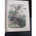 KSIĘGA ŚWIATA - WIADOMOŚCI Z DZIEDZINY NAUK PRZYRODNICZYCH, STORYI KRAJÓW I LUDÓW,[...]PODRÓŻE, OPISY CIEKAWYCH MIEJSCOWOŚCI. WÓD SŁYNNIEJSZYCH [...] WARSZAWA 1852 część pierwsza i druga.