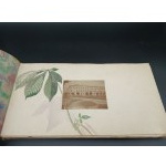DUŻY, PAMIĄTKOWY ALBUM DLA DYREKTORA XI GIMNAZJUM im. Jana i Andrzeja Śniadeckich we LWOWIE - WŁADYSŁAWA PROBULSKIEGO W DNIU IMIENIN1930 ROK. UNIKAT!
