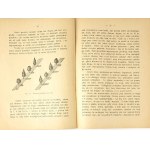 JANKOWSKI- SAD BY THE CHAIR published in 1930.