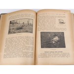 KRAWCZYŃSKI- ŁOWIECTWO Przewodnik dla leśników zawodowych i amatorów myśliwych 1924