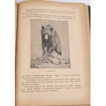 KRAWCZYŃSKI- ŁOWIECTWO Przewodnik dla leśników zawodowych i amatorów myśliwych 1924