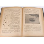 KRAWCZYŃSKI- ŁOWIECTWO Przewodnik dla leśników zawodowych i amatorów myśliwych 1924