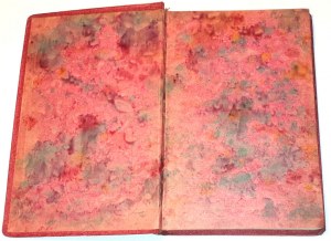 ZUKOWSKI-Into the land of the child 2nd edition.