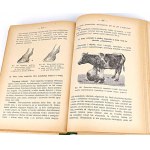 DOBRZAŃSKI- VETERINARY HANDBOOK 1939 gravures