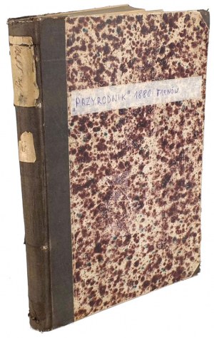 PRIMARY Bi-weekly Popular 1880