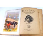 SEWELL- BLACK BEAUTY.