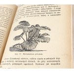 JANKOWSKI- OGRÓD WIEJSKI ed. 1928.