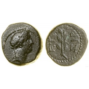 Rzym prowincjonalny, brąz, rok 117 (68-69), Antiochia