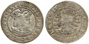 Poland, penny, 1529, Toruń
