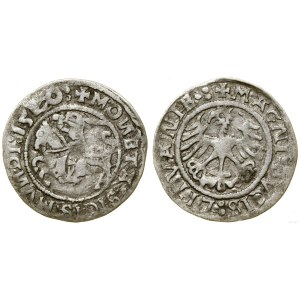 Polska, półgrosz, 1520, Wilno
