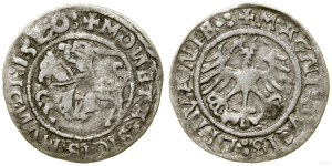 Poland, half-penny, 1520, Vilnius