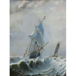 Subropkin(XIX w.), Szkuner, 1881