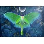 ANNA PONIATOWSKA, ACTIAS LUNA, 2025R.