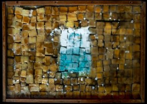 S.B., Potato Mosaic (condition 5)