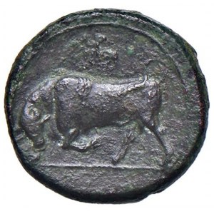 Greek coins - SICILIA Siracusa - Gerone II (274-216 a.C.) A...