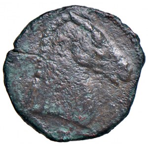 Greek coins - SARDEGNA Dominazione cartaginese - AE (circa ...