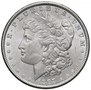 Foreign coins - USA Dollar 1887 - KM 110 AG (g 26.71) Signet...