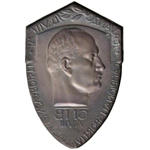 Fascist medals - FASCIST MEDALS Ventennio (1922-1943) Lamin...