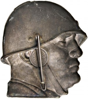 Fascist medals - FASCIST MEDALS Undated brooch in foil...