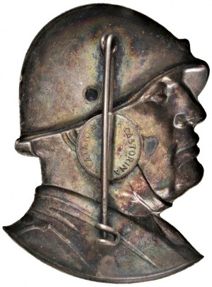 Fascist medals - FASCIST MEDALS Undated brooch in foil...