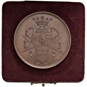 Character medals - Andrea Passari - Medaglia 1889 Il consiglio d...